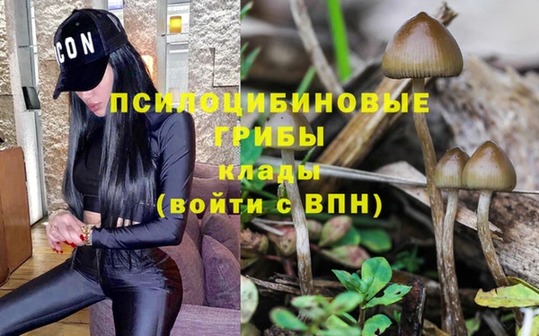 ALPHA PVP Армянск